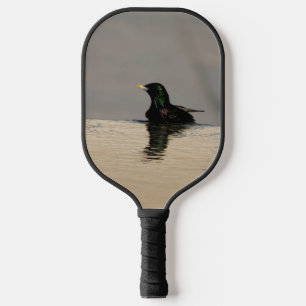 Palas De Pickleball Pequeño pájaro