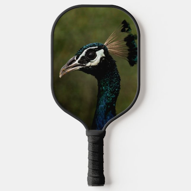 Palas De Pickleball Perfil del pavo real (Anverso)