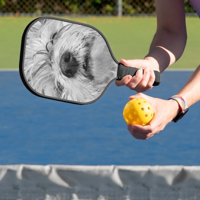 Palas De Pickleball Perro Coton de Tulear (in situ)