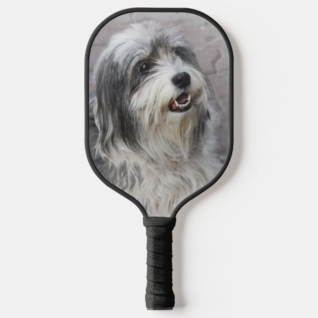 Palas De Pickleball Perro Pickleball Paddle (Anverso)