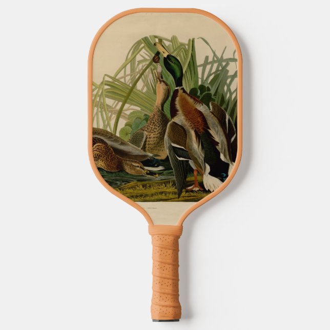 Palas De Pickleball Pintura de pájaro de Mallard Duck Audubon (Anverso)