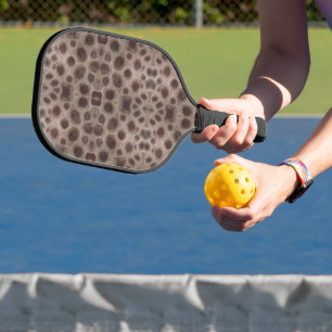 Palas De Pickleball Plaza de Piedra Petoskey