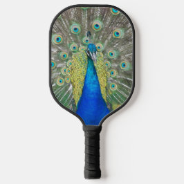 Palas De Pickleball Pluma de plumas de pavo real azul