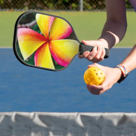 Palas De Pickleball Plumeria rubra