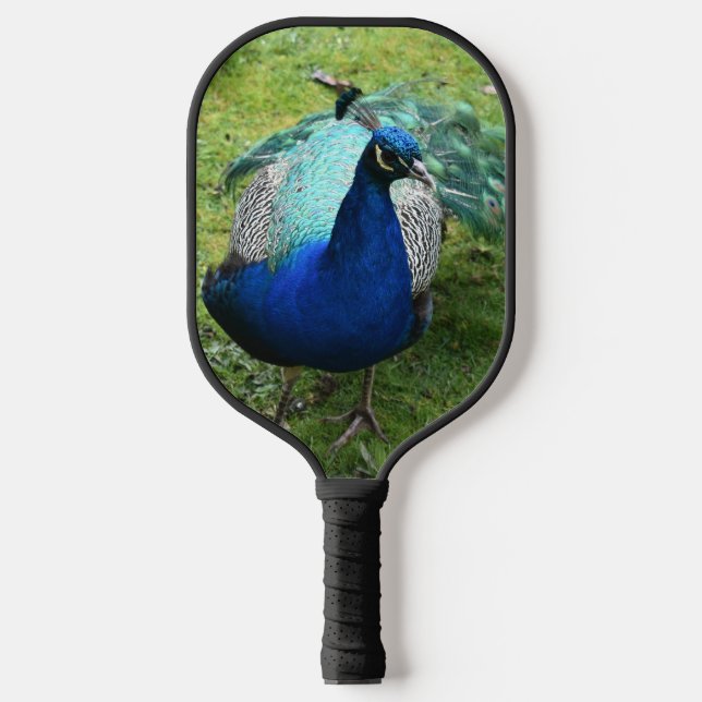 Palas De Pickleball Poder del Pavoreal Regio (Anverso)