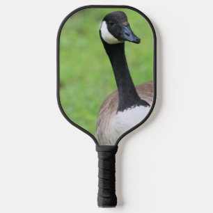 Palas De Pickleball ¿Qué?