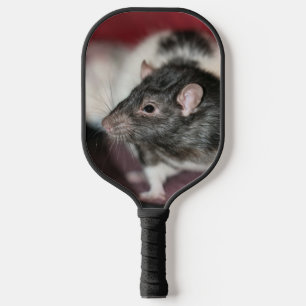 Palas De Pickleball Rata