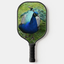 Palas De Pickleball Regal Peacock Power
