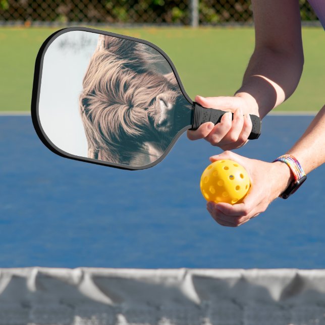 Palas De Pickleball retrato de vaca de las Highlands (in situ)