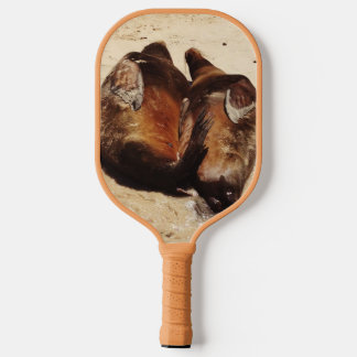 Palas De Pickleball Sea Lions in Love Pickleball Paddle