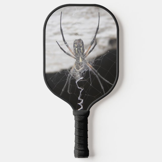 Palas De Pickleball Spider (Anverso)