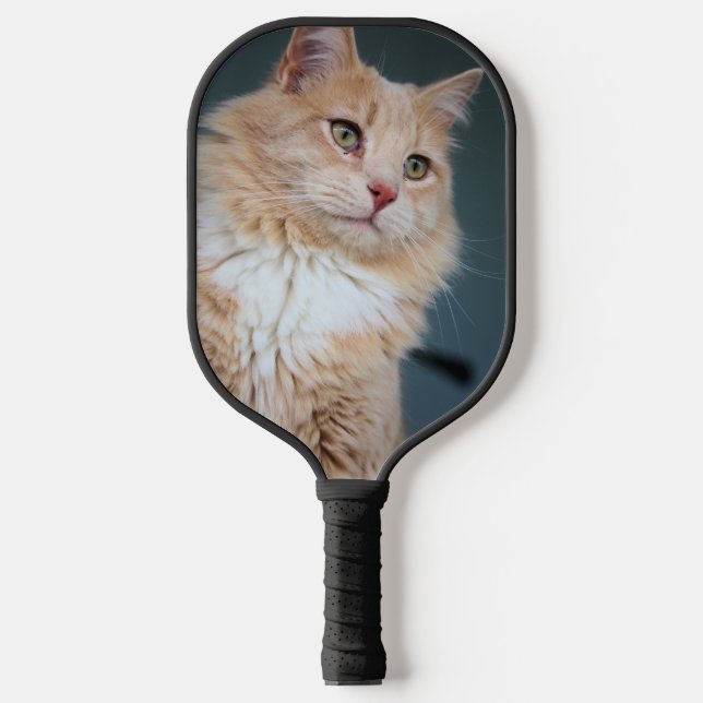 Palas De Pickleball Sr. Handsome (Anverso)