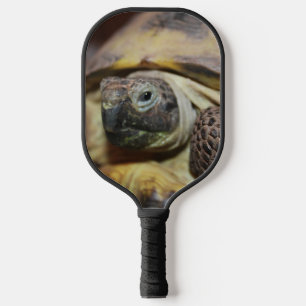 Palas De Pickleball Tibbs