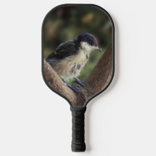 Palas De Pickleball Tidi my Bird the Parus Major