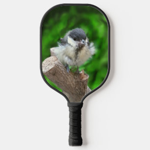 Palas De Pickleball Tidi my Bird the Parus Major