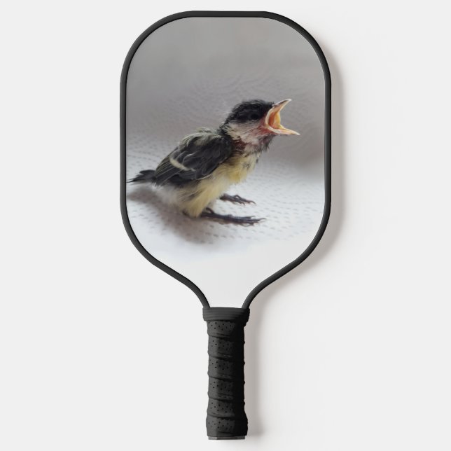 Palas De Pickleball Tidi my Bird the Parus Major (Anverso)