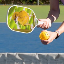 Palas De Pickleball Tiempo de construir el nido