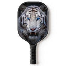 Tigre Blanco Ojos Azules