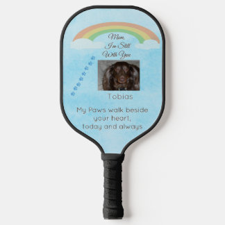 Palas De Pickleball Tocando en la Luz Más Allá del Arcoíris