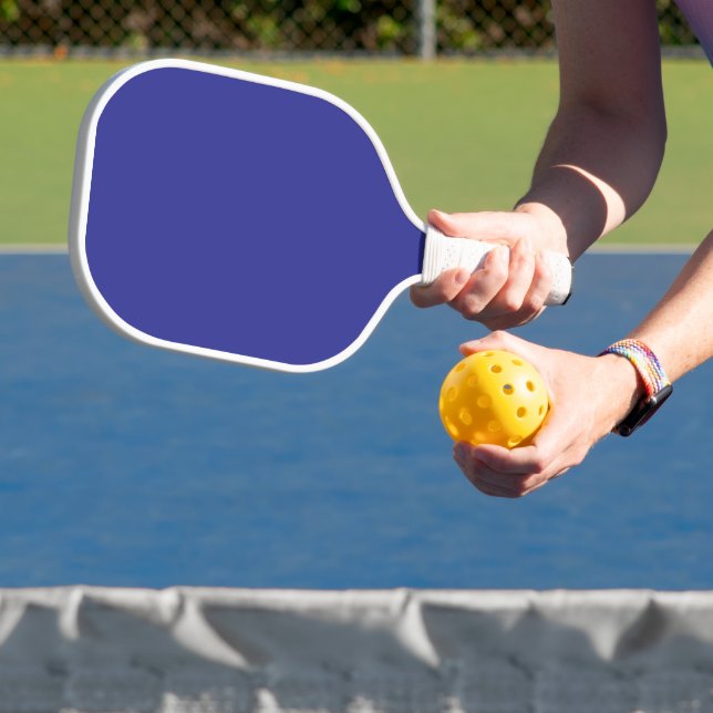 Palas De Pickleball Transformar tu espacio con un azul elegante (in situ)