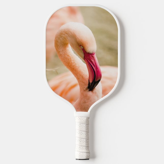 Palas De Pickleball Un hermoso flamenco rosado (Anverso)