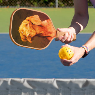 Palas De Pickleball Vizsla