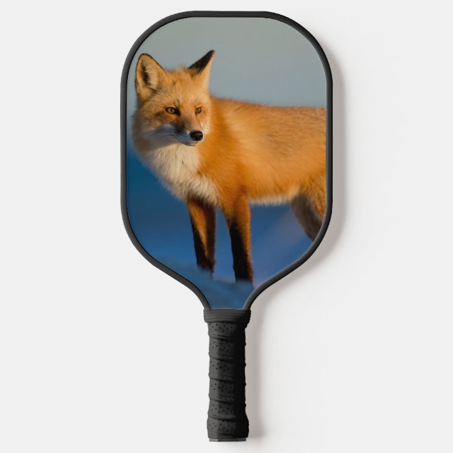 Palas De Pickleball Zorro marrón (Anverso)