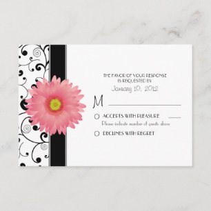 Pale Pale Gerbera Daisy Diseño RSVP de Desplazamie