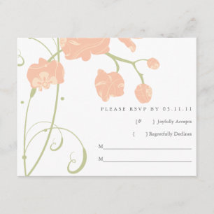 Pale Peachy Orquídeas Rosadas RSVP