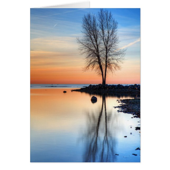 Paleta de amanecer (Frente)