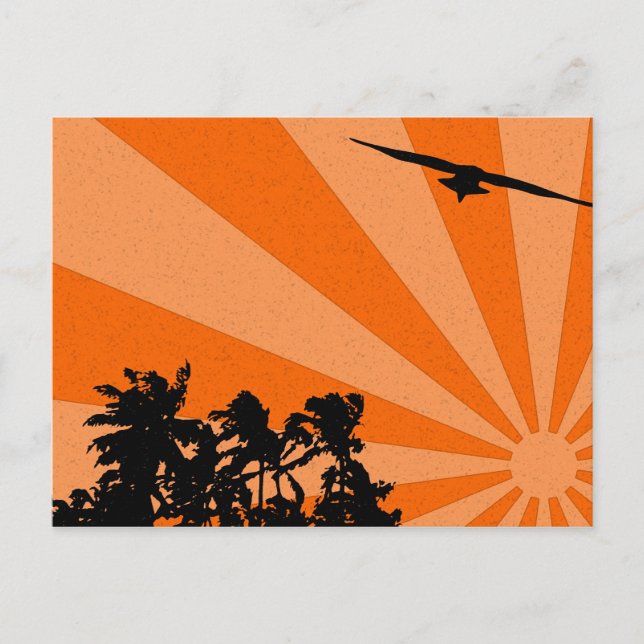 Paletas y postal de gaviota (Anverso)