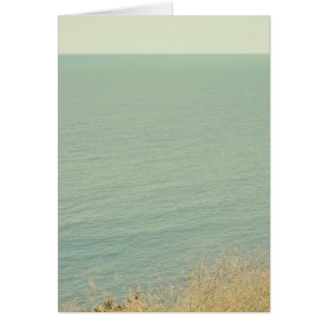 Palidezca - la fotografía verde del océano (Frente)