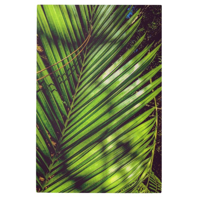 Palm Frond, Pine Needles and Shads Arte Metalizado (Anverso)