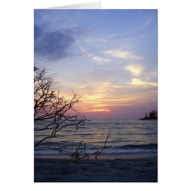 Palm Island Sunset 1 (Frente)