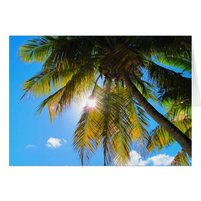 Palm Paradise Blue Sky Sunshine (Anverso (Horizontal))