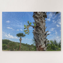 Palm & Prickle - Rompecabezas Quiet Ember