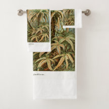 Palm Tree Ernst Haeckel