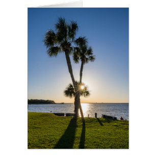 Palm Tree Scissors Tarjeta de saludo de Silhouette