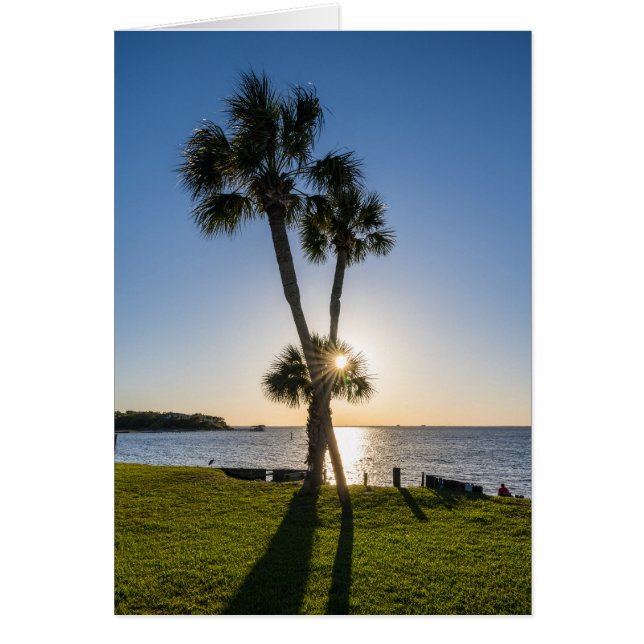 Palm Tree Scissors Tarjeta de saludo de Silhouette (Frente)