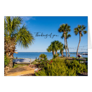 Palm Trees Bayside Mañana Pensando En Tu Tarjeta