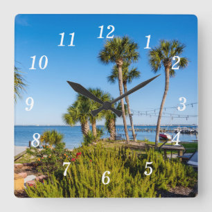 Palm Trees Bayside reloj de pared matutina