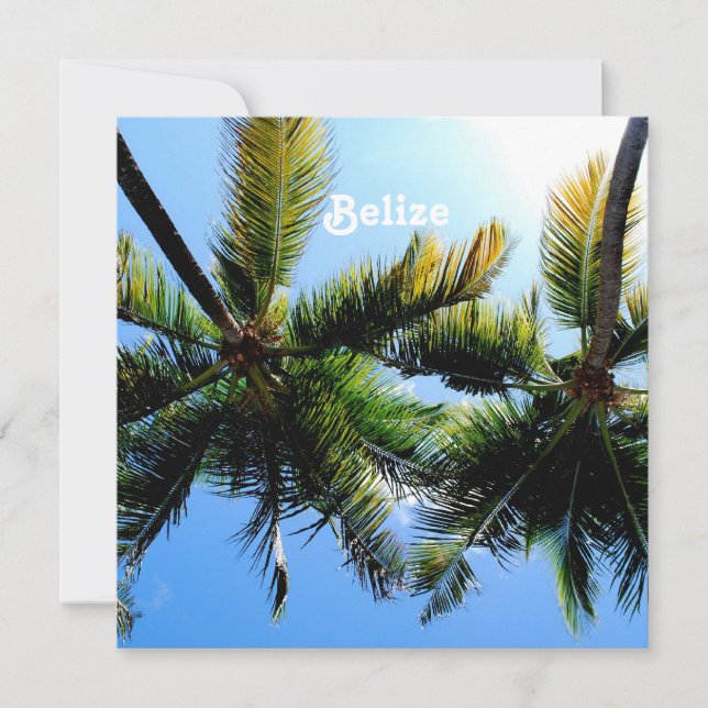 Palm Trees de Belice (Anverso)