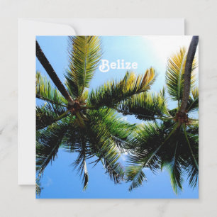 Palm Trees de Belice