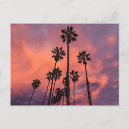 Palm Trees en la postal Sunset