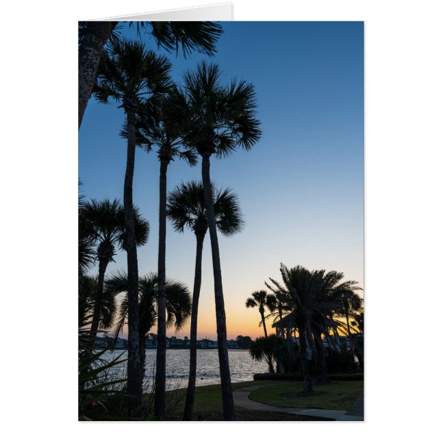 Palm Trees Sunrise Destin Florida Greaming Card (Frente)