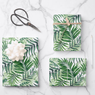 Palm Tropical Verde y hojas de Monstera
