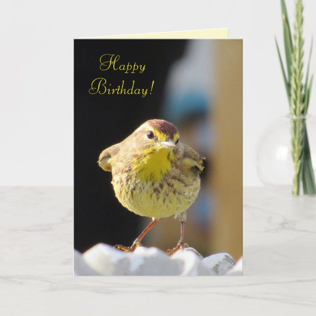 Palm Warbler - Tarjeta de cumpleaños de la serie B (Anverso)