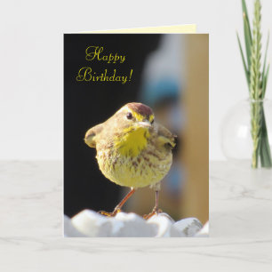 Palm Warbler - Tarjeta de cumpleaños de la serie B