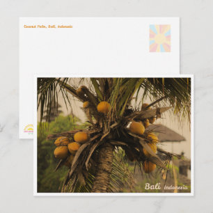 Palma de Coco, Bali Indonesia - Tarjeta Postal de