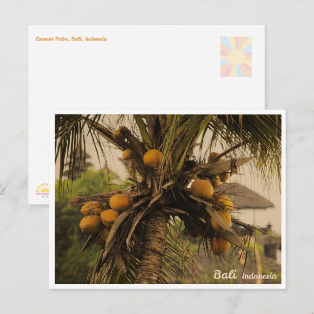 Palma de Coco, Bali Indonesia - Tarjeta Postal de  (Anverso / Reverso)